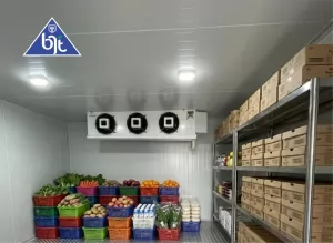 Cold Room Chiller 5 Ton Untuk Simpan Bahan Makanan Dapur Restoran